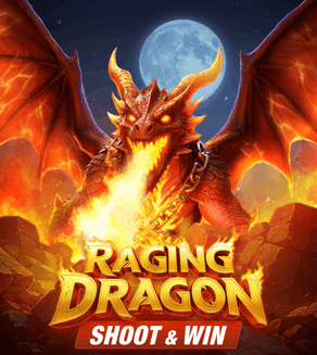Raging Dragon : Shoot & Win